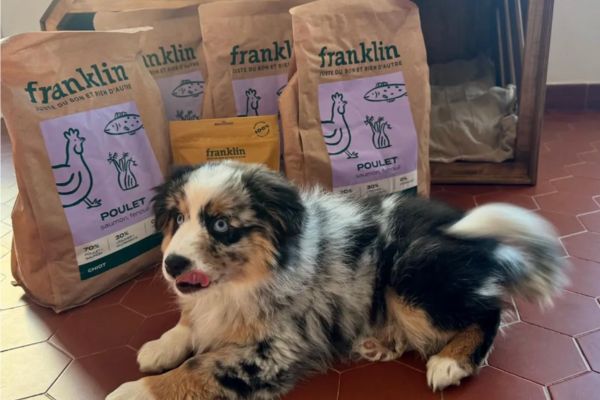 berger australien franklin pet food nourriture croquettes