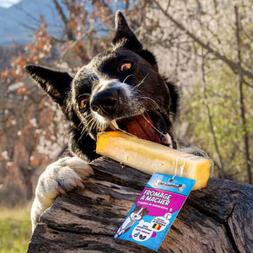 fromage a macher friandise