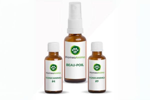 homeoanimo kit beau poil pour le pelage homeopathie