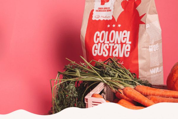 croquettes colonel gustave