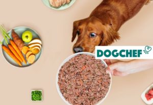 dogchef