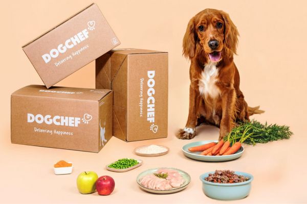 dogchef histoire de la marque