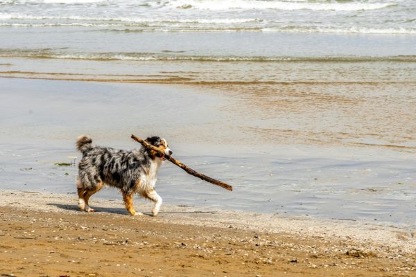promenade plage