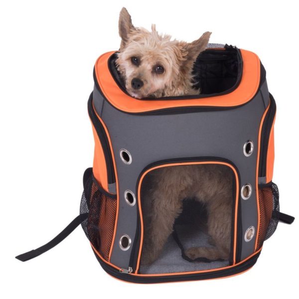 sac à dos chien