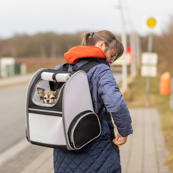 sac à dos pour petits chiens jusqu'à 8 kg et mini bergers australiens avec compartiments de rangement vue de mise en situation avec un petit chien à l'intérieur